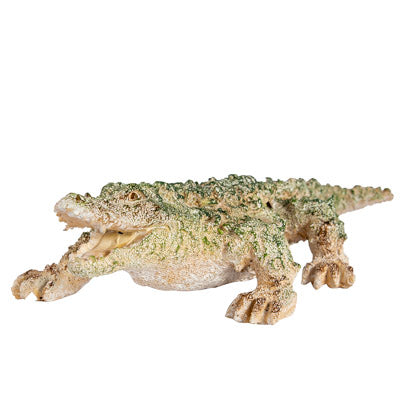 Coral Look Alligator Figurine