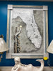 41x53" Pelican on Florida Map Art