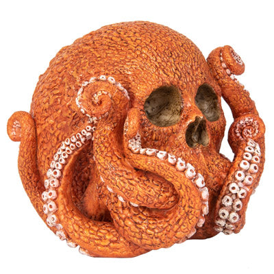 Octopus Skull