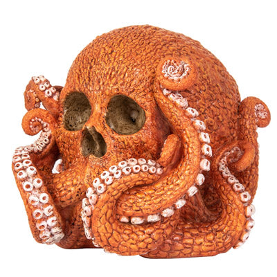 Octopus Skull