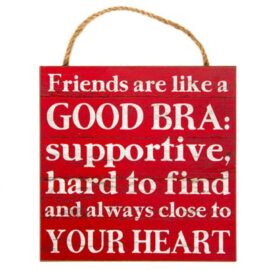 Friends Are Like A Good Bra Sign