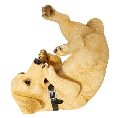 Drinking Golden Dog Bottle Holder