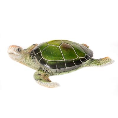 Green Decorative Sea Turtle