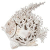 Coral Look Fish