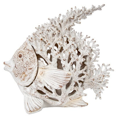 Coral Look Fish