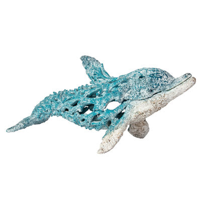 Coral Look Dolphin