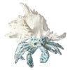 White Washed Blue Crab in Shell