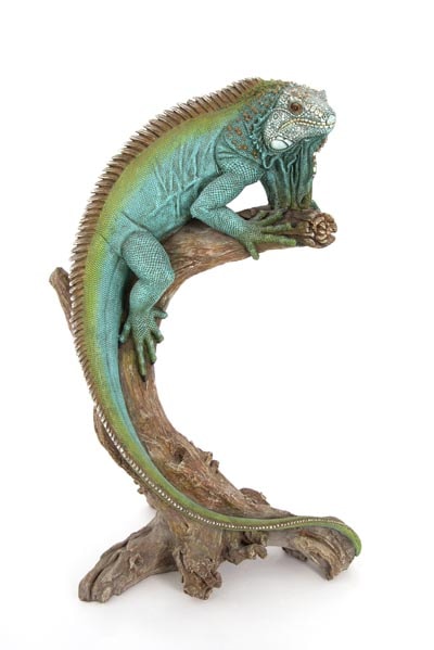 Iguana Resting on Branch